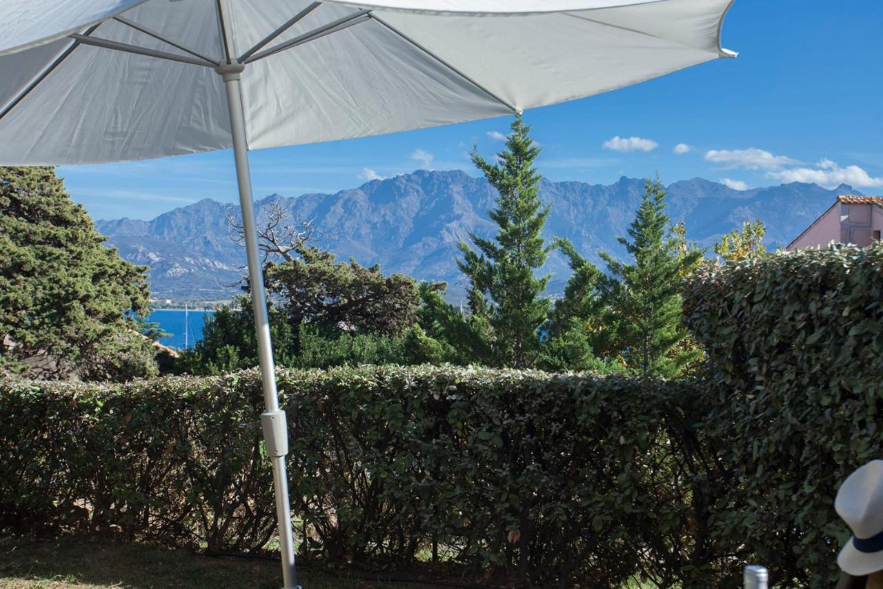 Mare Appart Avec Jardin Et Bbq Vue Mer Et Montagne Plage Et Port A 2 Pas Calvi  Exteriér fotografie